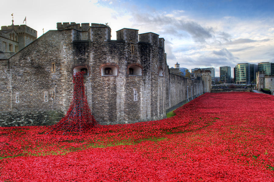 Tower of London Poppies #2 Photograph by Chris Day