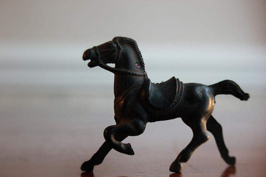 Toy Horse #1 Photograph by Kelly Hazel