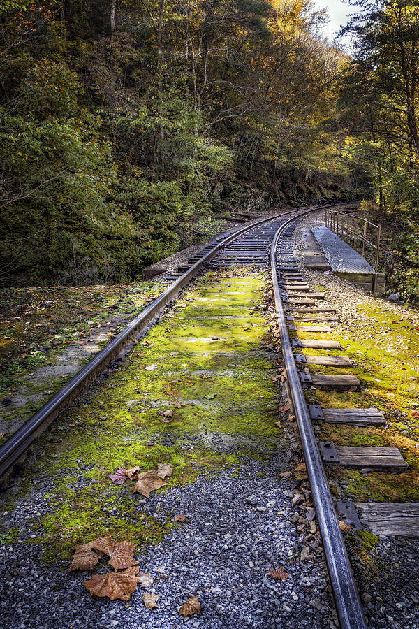 Fall Photograph - Tracks Along the River #1 by Debra and Dave Vanderlaan