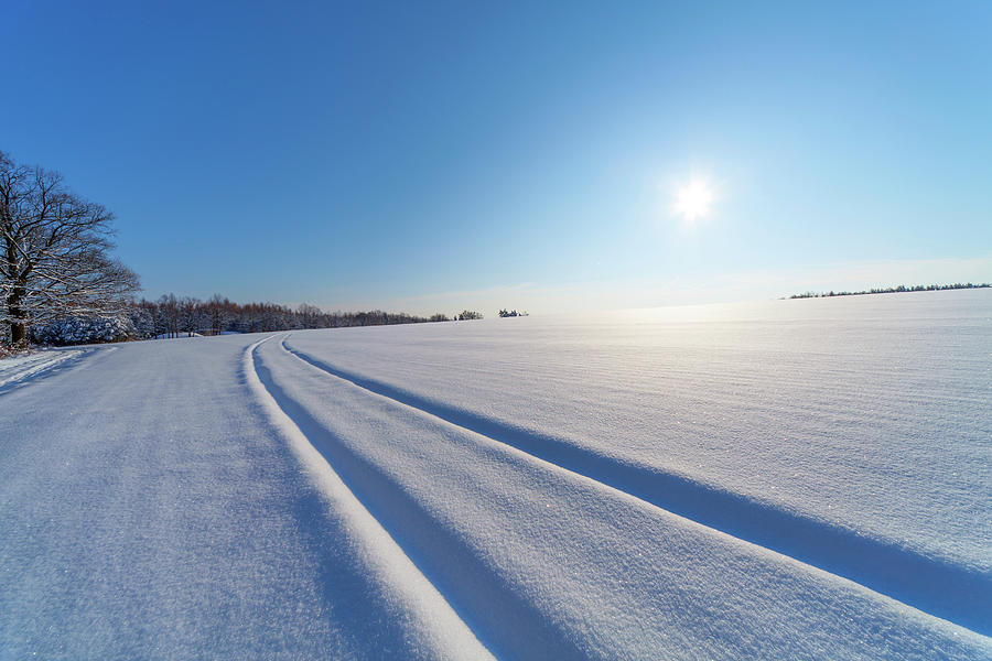 Tracks In Snow #1 Photograph by Wladimir Bulgar
