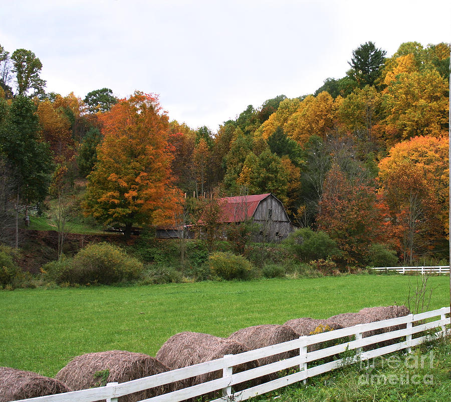 Trade Barn Photograph by Annlynn Ward - Fine Art America