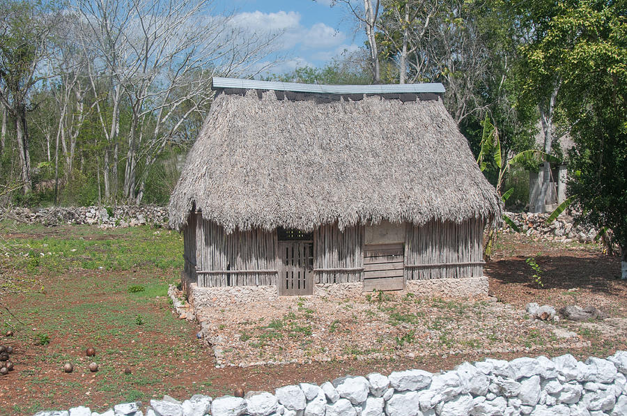 Traditional Mayan Homes in Rural Yucatan  #1 Digital Art by Carol Ailles