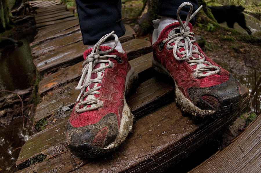 Trail Running. Seymour Mountain, North #1 Photograph by Rich Wheater Trail Running. Seymour Mountain, North #1 Photograph by Rich Wheater