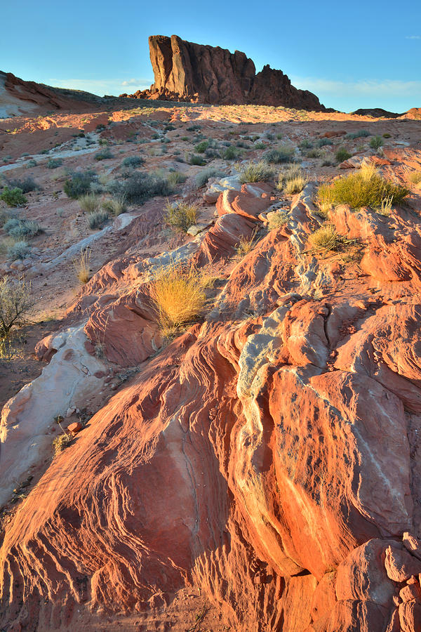 Trail to the Fire Wave - Valley of Fire #2 Photograph by Ray Mathis