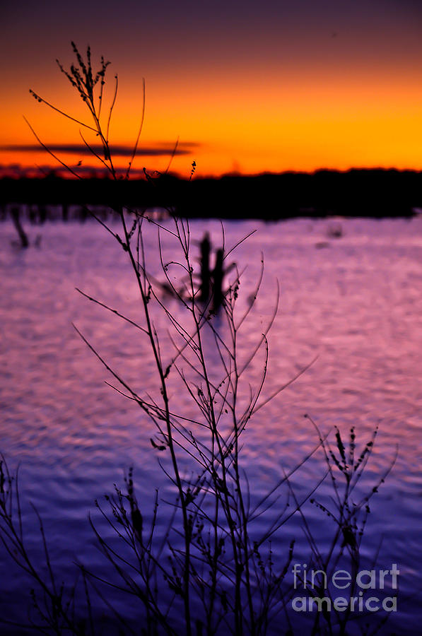 Tranquil Sunset #1 Photograph by Gwen Gibson