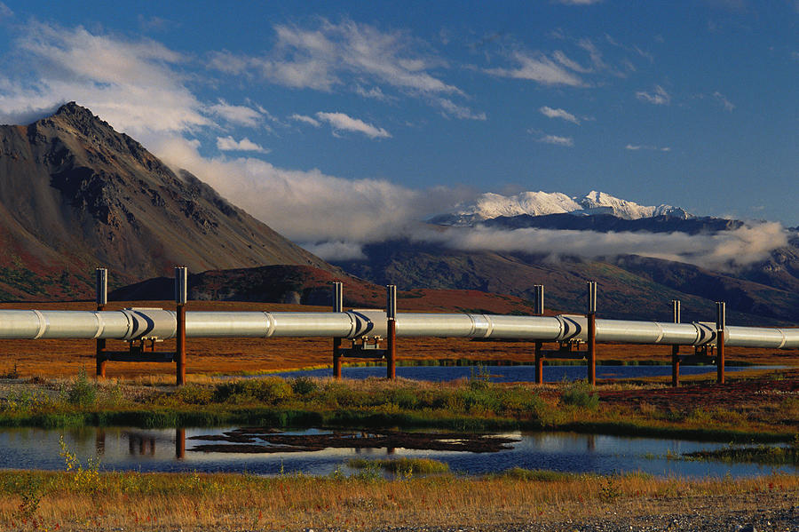 Trans-alaska Pipeline #1 Photograph by Thomas And Pat Leeson