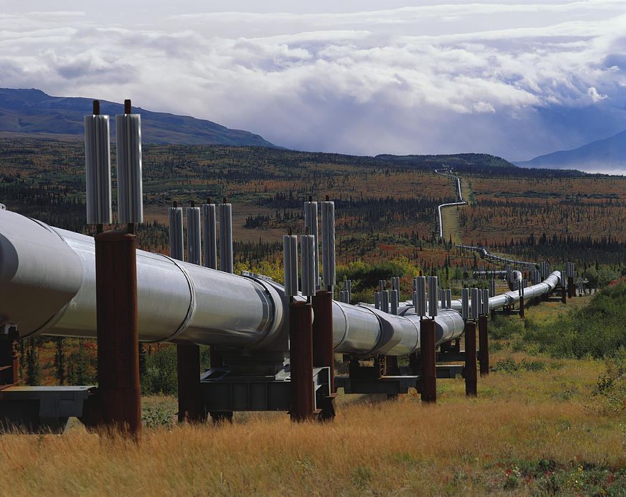 Trans-alaskan Oil Pipeline #1 Photograph by Thomas And Pat Leeson