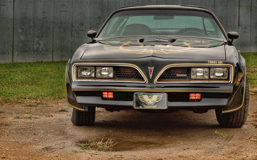 Trans Am 1 Photograph by Thomas Young