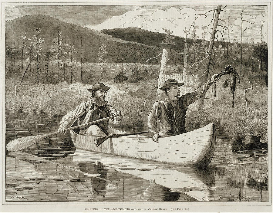 Trapping in the Adirondacks Painting by Winslow Homer