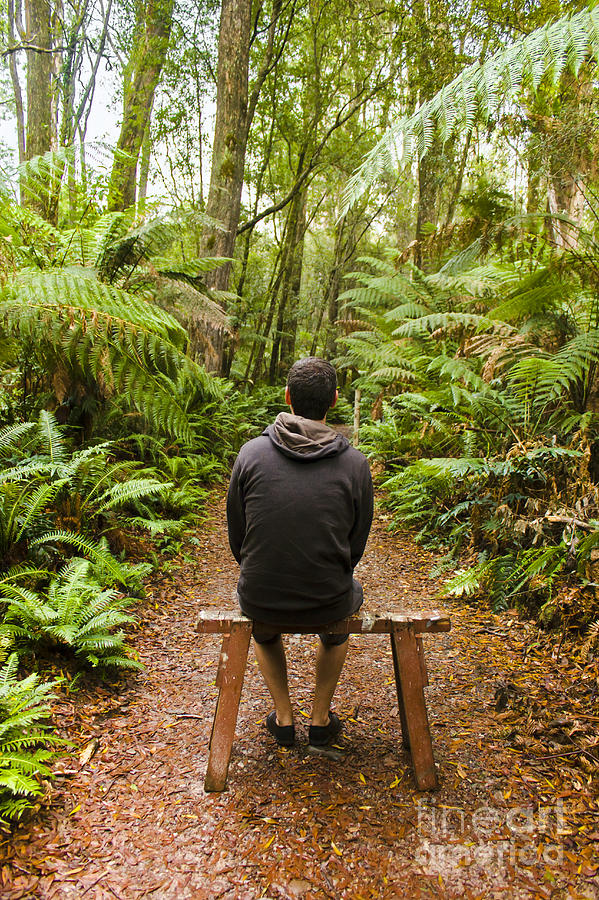 Travel man sitting in a green lush fern forest #1 Photograph by Jorgo Photography