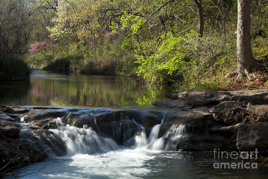 Travertine Creek in Spring #1 Photograph by Iris Greenwell