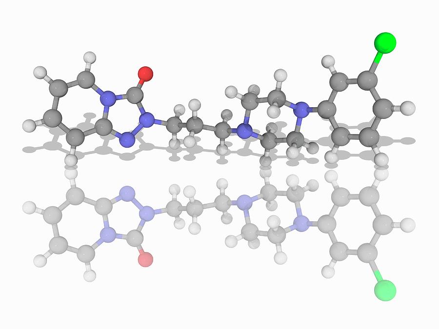 Trazodone Drug Molecule #1 Photograph by Laguna Design/science Photo Library