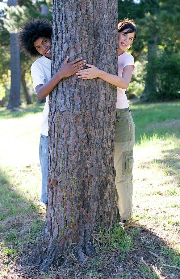 Summer Photograph - Tree Hugging #1 by Ian Hooton/science Photo Library