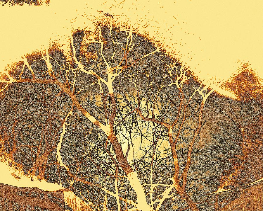 Tree Line Brown Photograph by Jodie Marie Anne Richardson Traugott          aka jm-ART