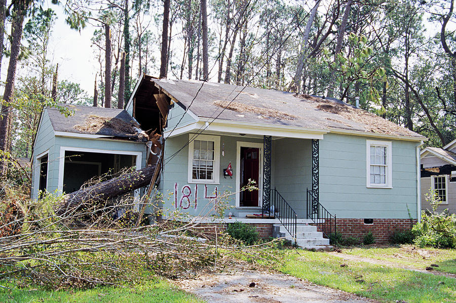 Tree On A House After Hurricane Katrina #1 Photograph by David Hay Jones/science Photo Library