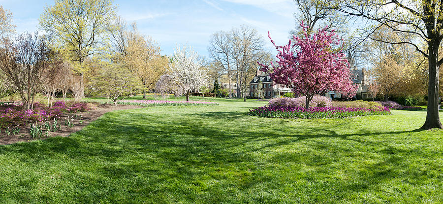Baltimore Photograph - Trees In A Garden, Sherwood Gardens #1 by Panoramic Images