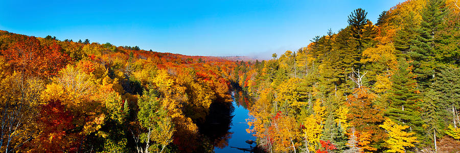 Trees In Autumn At Dead River #1 Photograph by Panoramic Images