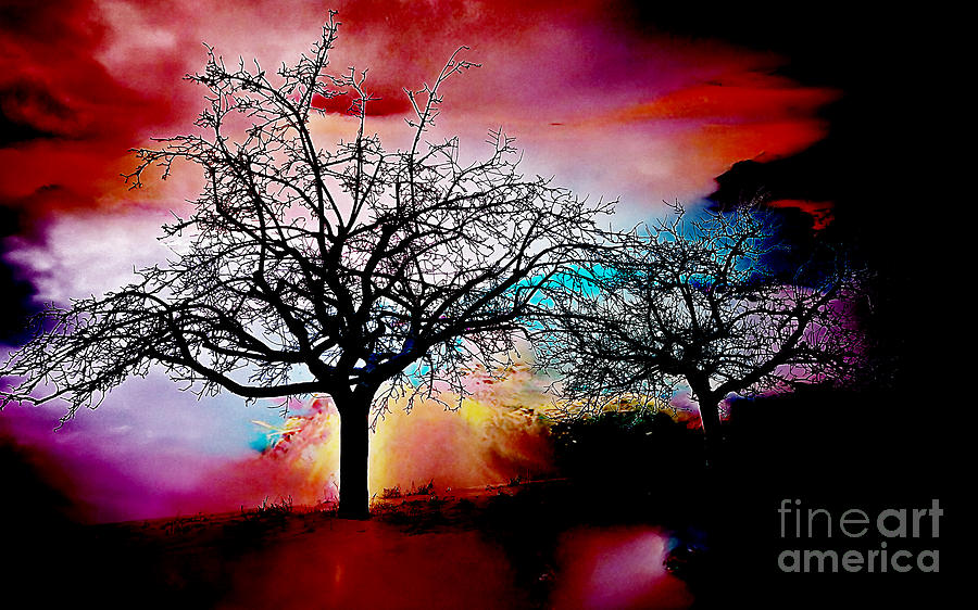 Tree Mixed Media - Trees #1 by Marvin Blaine