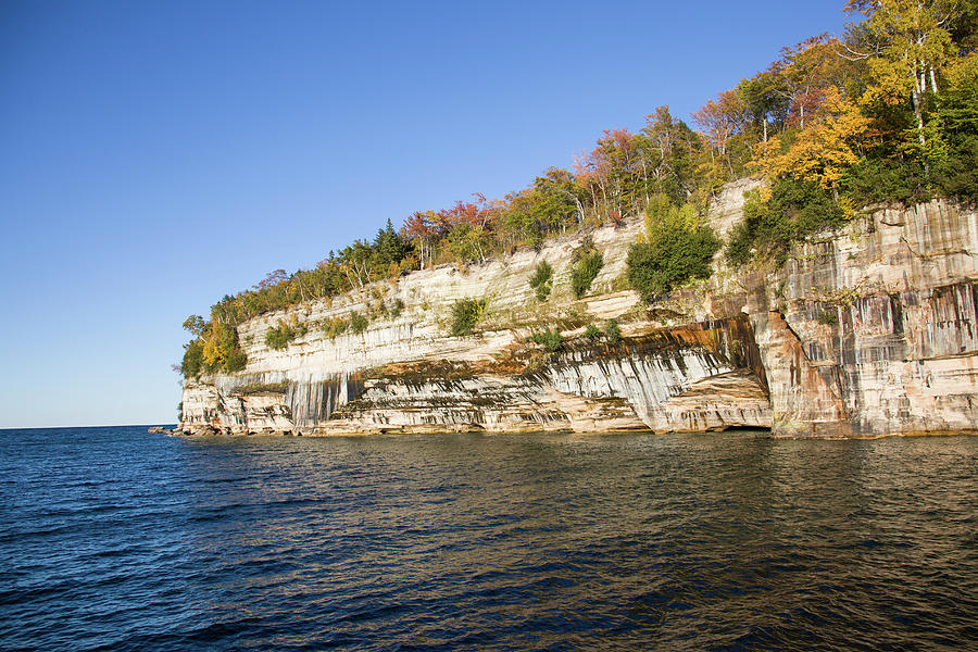 Trees On Cliff, Lake Superior, Pictured Photograph by Panoramic Images ...