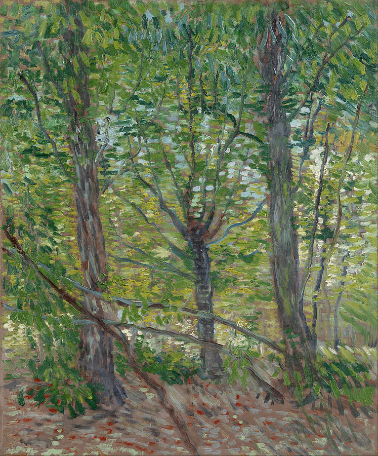 Trees #1 Painting by Vincent Van Gogh