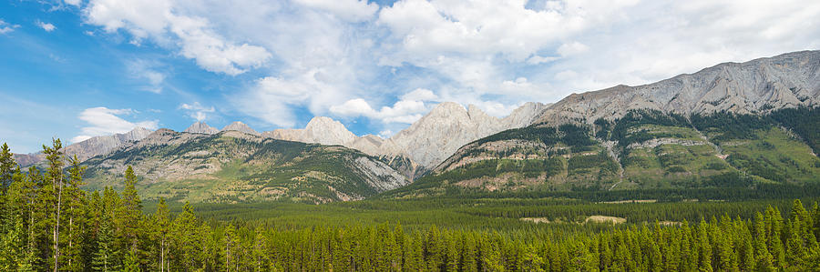 Nature Photograph - Trees With Canadian Rockies #1 by Panoramic Images