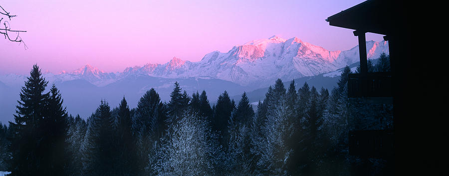 Sunset Photograph - Trees With Snow Covered Mountains #1 by Panoramic Images