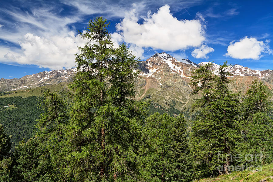Trentino - high Pejo valley #1 Photograph by Antonio Scarpi