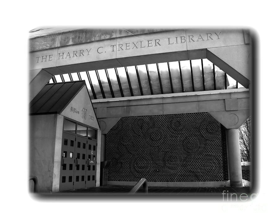 Trexler Library - Border - BW #1 Photograph by Jacqueline M Lewis