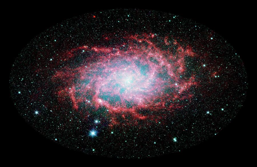 Triangulum Galaxy (m33) #1 Photograph by Nasa/jpl-caltech/science Photo Library