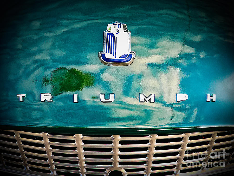 Triumph #1 Photograph by Colleen Kammerer