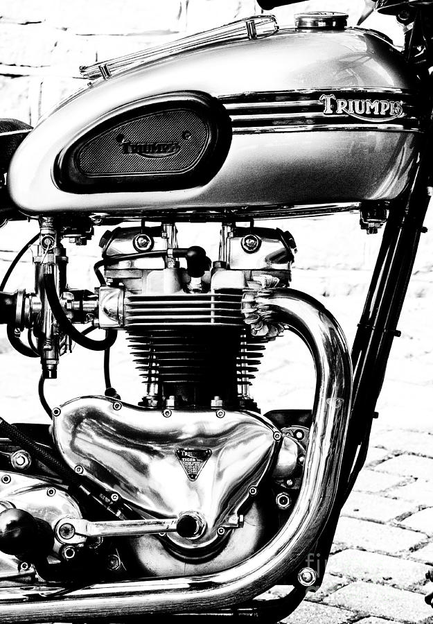 Triumph Tiger T110 Motorcycle Monochrome Photograph by Tim Gainey