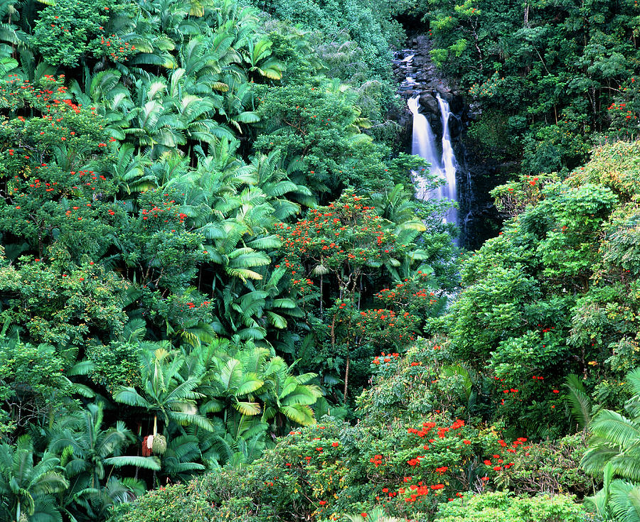 Tropical Forest Surrounding Waterfall #1 Photograph by Simon Fraser/science Photo Library