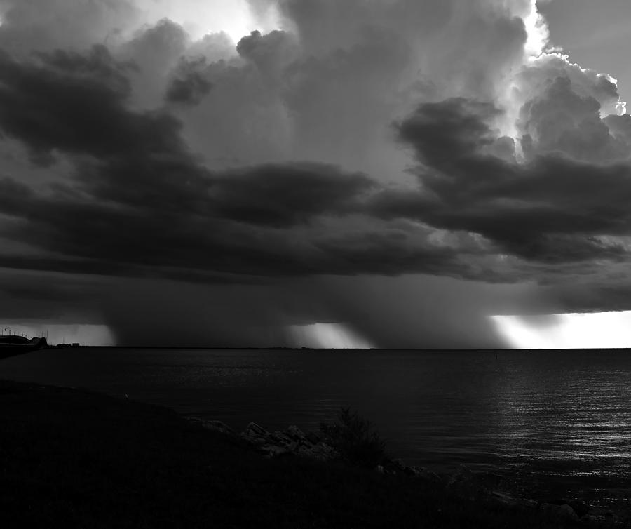 Tropical twins Photograph by David Lee Thompson - Fine Art America