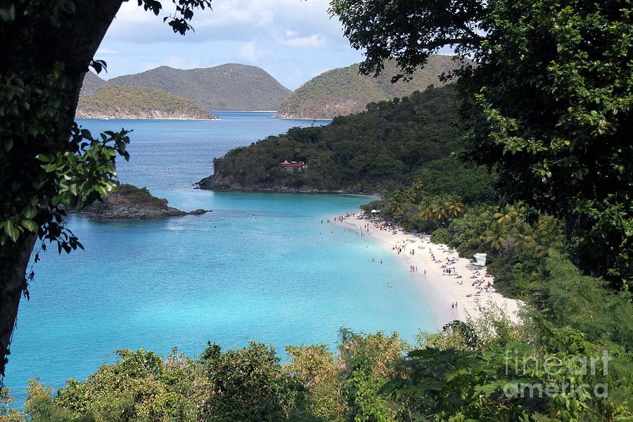 A Happy Trunk Bay Photograph by Betty Morgan