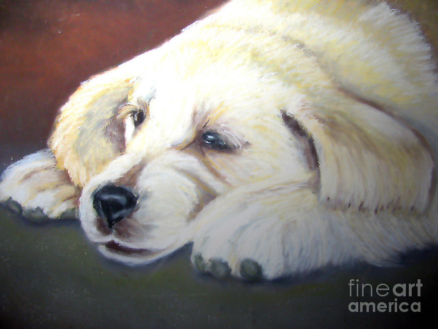 Dog Pastel - Tuckered Out #1 by Amber Nissen