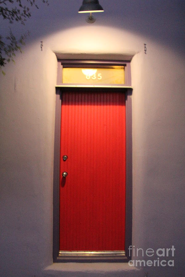 Tucson Doors  #1 Photograph by Diane Lesser