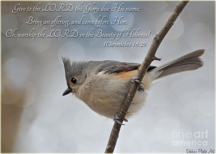Tufted Titmouse with verse #1 Photograph by Debbie Portwood