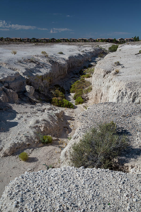 Tule Springs Fossil Beds #1 Photograph by Jim West/science Photo Library