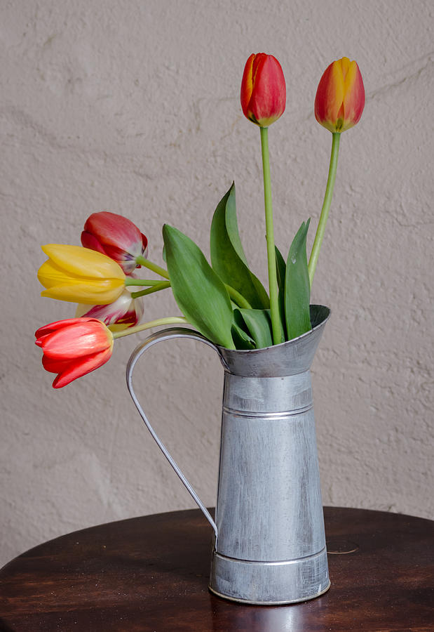 Flower Photograph - Tulip Still Life #1 by Kelly McNamara