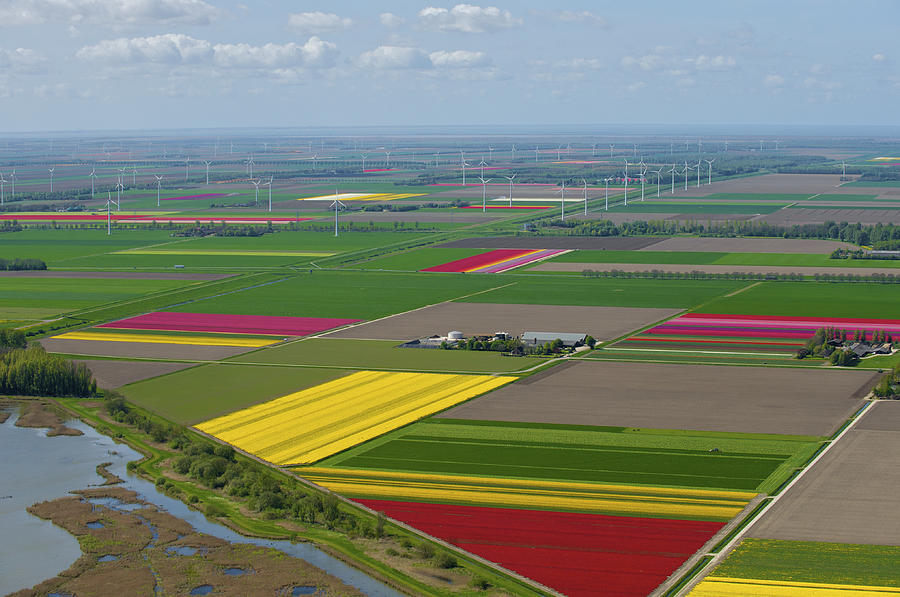 Tulip Photograph - Tulips Fields, Zeewolde #1 by Bram van de Biezen