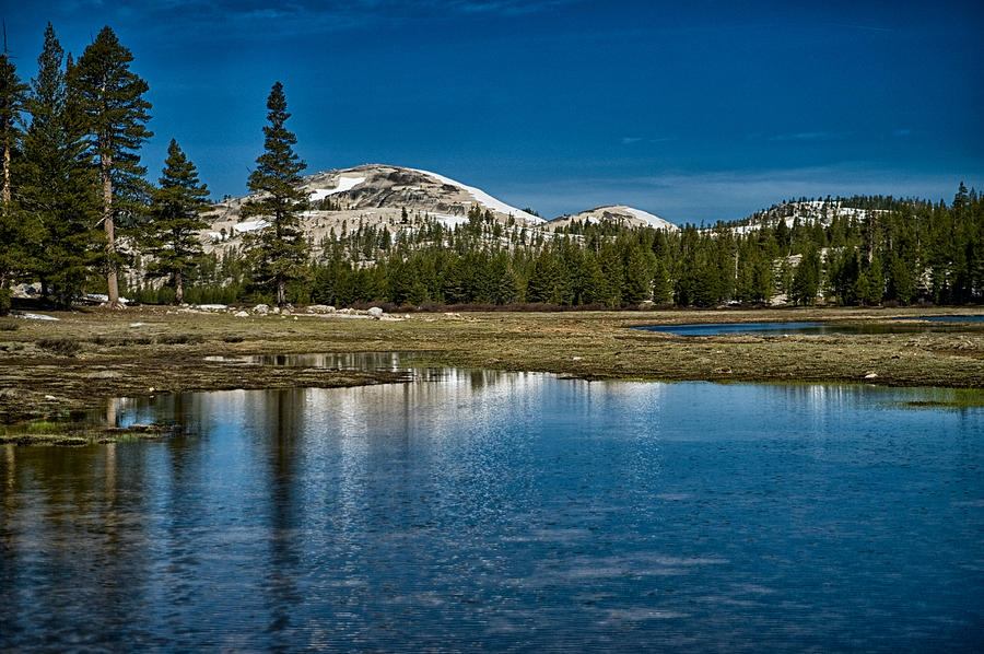 Tuolumne Meadows #1 Photograph by Cat Connor