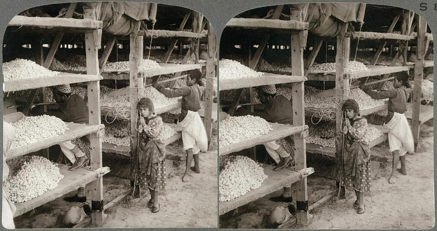 Antioch Photograph - Turkey Silkworms, C1913 #1 by Granger