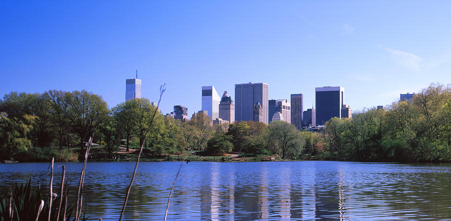 Turtles In The Lake, Central Park Photograph by Panoramic Images - Pixels