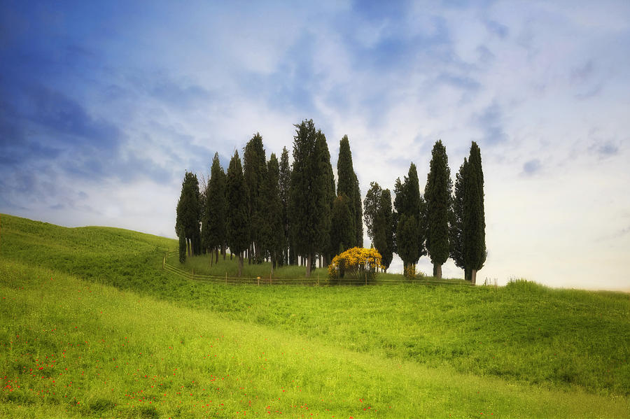Nature Photograph - Tuscany - Montalcino #1 by Joana Kruse
