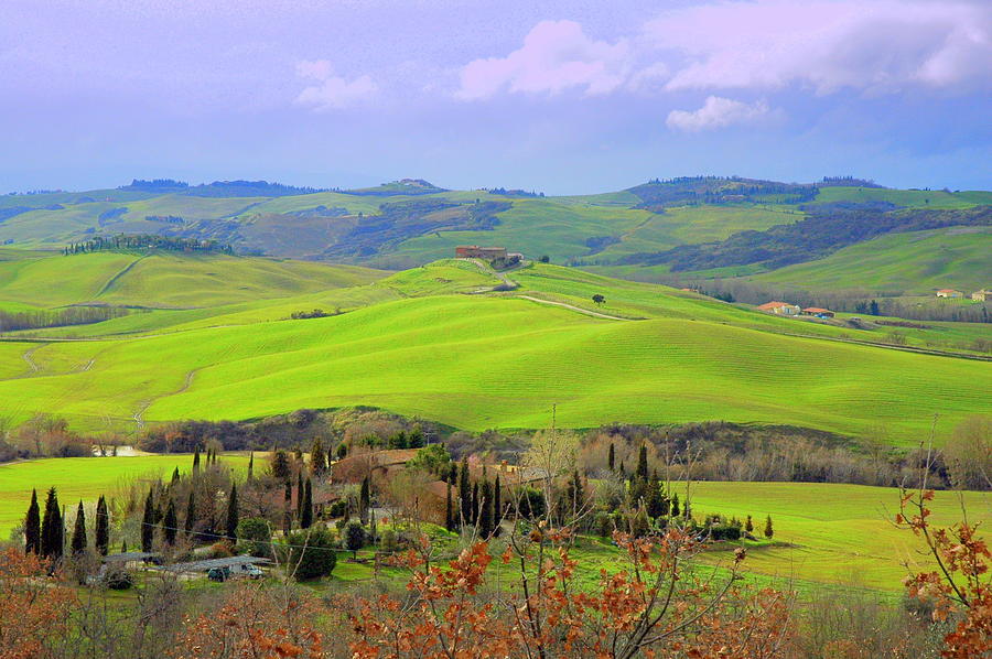 Tuscany hills in march Photograph by Paolo Frongia - Fine Art America