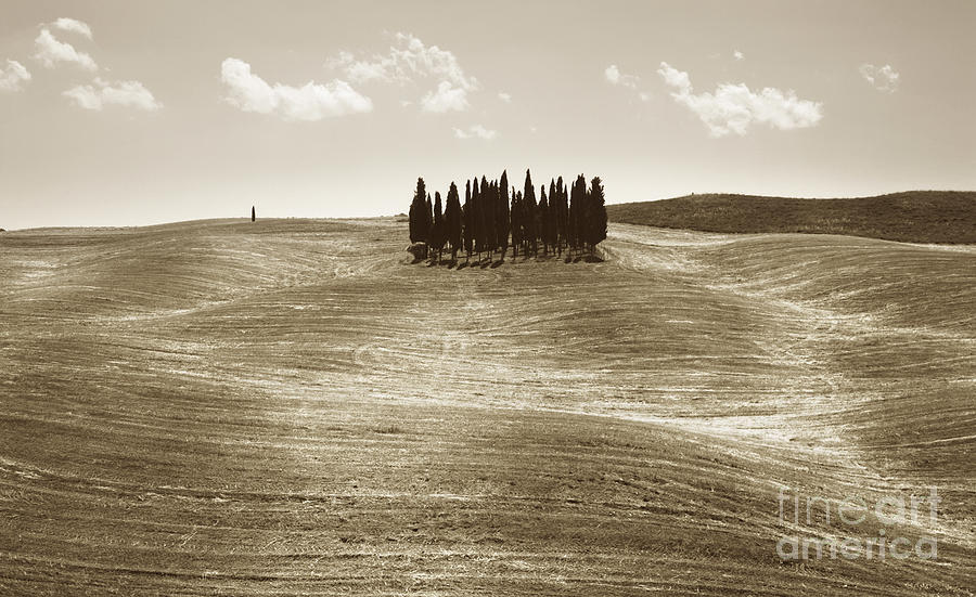 Nature Photograph - Tuscany #1 by Nino Marcutti