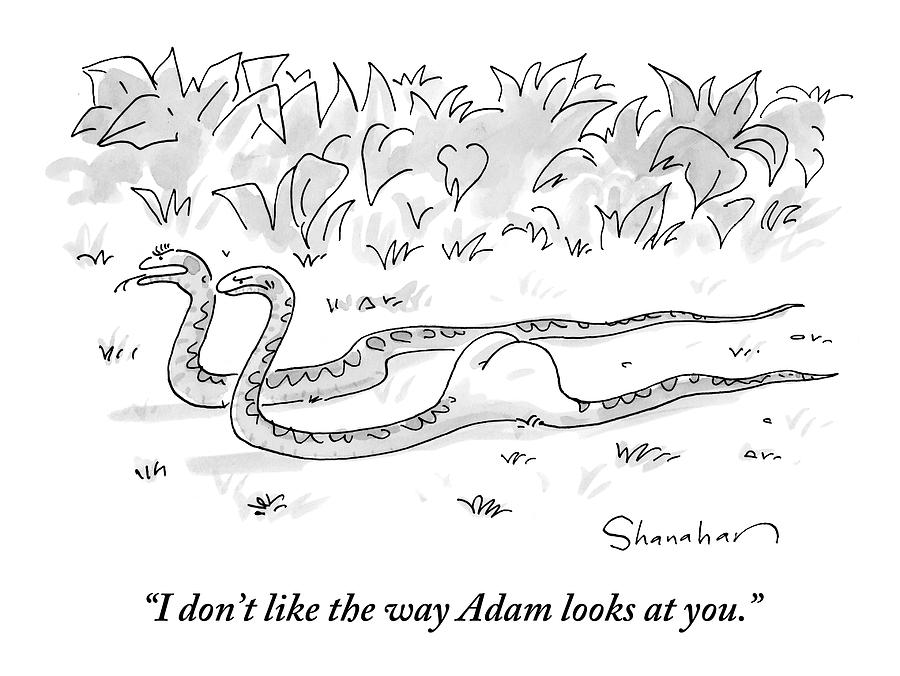 Two Boa Constrictors Slither Along. One Has Eaten Drawing by Danny Shanahan Two Boa Constrictors Slither Along. One Has Eaten Drawing by Danny Shanahan