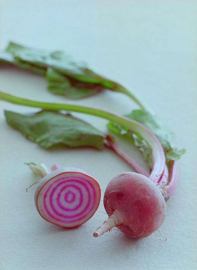Two Chioggia Beets Photograph by Romulo Yanes Two Chioggia Beets Photograph by Romulo Yanes