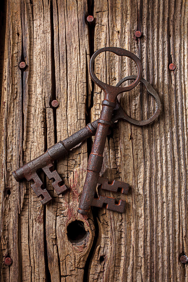 Two Old Skeletons Keys #1 Photograph by Garry Gay