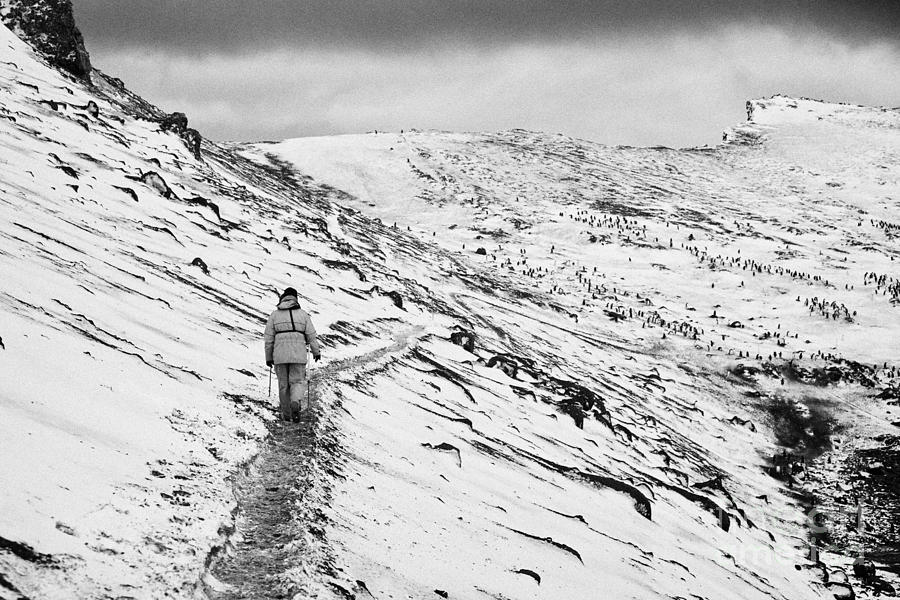 Space Photograph - two tourists walking along ridge at hannah point penguin colony Antarctica #1 by Joe Fox